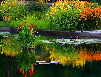 AUTUMN COLORED POND, SEASON, AUTUMN, MYSTICAL, FALL, POND, MAGICAL HD wallpaper