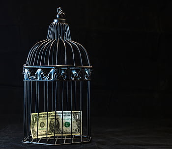 A dollar bill imprisoned in a decorative cage symbolizing financial confinement. HD wallpaper
