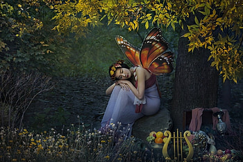 Autumn Fairy, Fairy, woods, fantasy, fall, Autumn, forest HD wallpaper