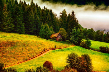 Forest Cottage, low clouds, hills, hut, fence, beautiful, green grass, pasture, forest HD wallpaper