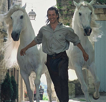 Come Along With Me, spanish, andalusian, horses, grey HD wallpaper