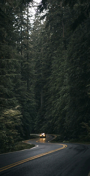 Natural road, Dark HD phone wallpaper