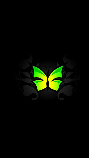 Butterfly HD phone wallpaper