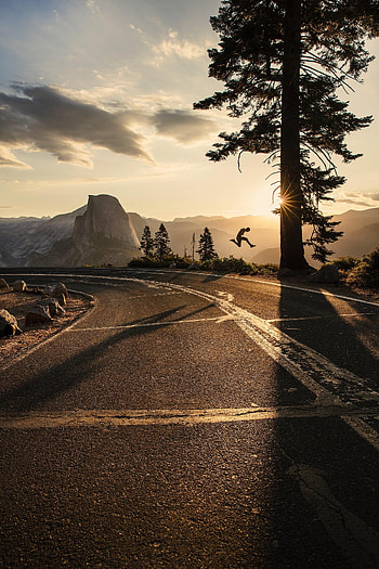 Sun, Pine, Miscellanea, Miscellaneous, Road, Bounce, Jump HD phone wallpaper