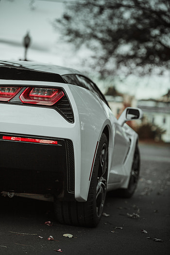 Sports, Cars, Lights, Car, Lanterns, Machine, Sports Car, Back View, Rear View HD phone wallpaper