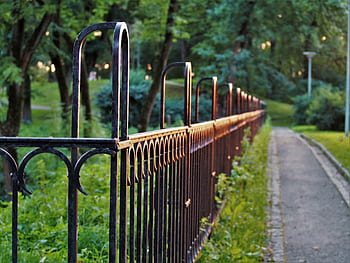 Sunset light glimmers on metal fence in lush park pathway, creating a serene outdoor ambiance. HD wallpaper