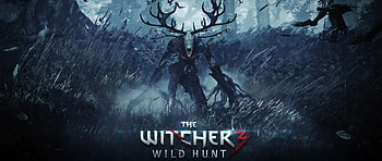 the witcher 3 wild hunt, final part, pc, playstation 4 HD wallpaper