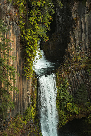 Stream, nature, waterfall HD phone wallpaper