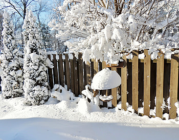 Beautiful Winter, graphy, Winter, Snow, Trees, Sunny, Fence, Nature HD wallpaper