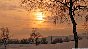 beautiful winter sunset landscape, winter, steeple, tree, sunset HD wallpaper