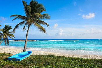 Cozumel travel guide, Independent exploration, Local insights, Exciting shore excursions HD wallpaper