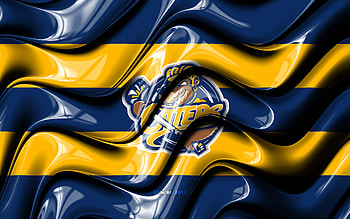 Erie Otters flag, , blue and yellow 3D waves, OHL, canadian hockey team, Erie Otters logo, hockey, Erie Otters, Canada HD wallpaper