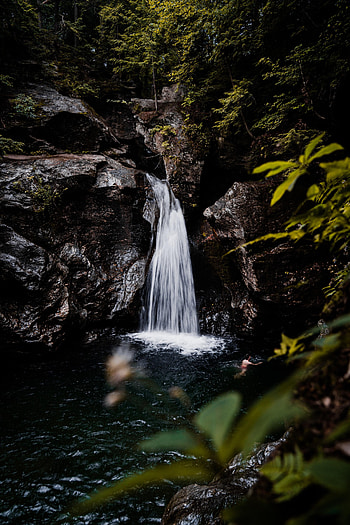 Nature, Water, Trees, Stones, Bush, Rocks, Waterfall HD phone wallpaper