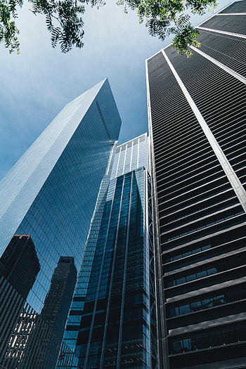 Cities, Building, Branch, Skyscrapers, Bottom View HD phone wallpaper