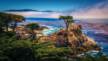 The Lone Cypress At Pebble Beach, California, misty, rocks, tree, sea, sky, usa HD wallpaper