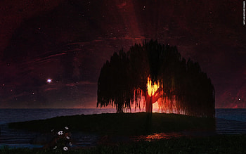 Enchanted Tree, sun set, sun, tree HD wallpaper