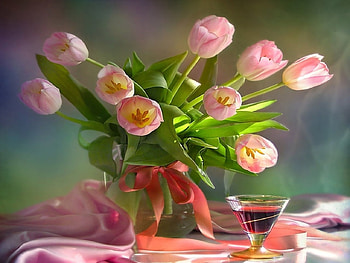 Still Life, Flower, Vase, pretty HD wallpaper
