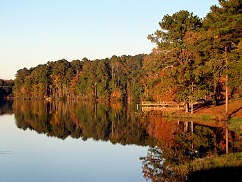 Nature, Trees, Autumn, Lake, Reflection HD wallpaper