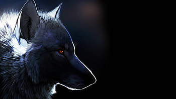 Dark wolf drawing, Creative wilderness, Enigmatic masterpiece, Exquisite artwork HD wallpaper