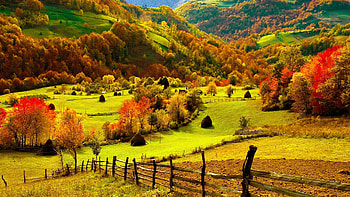 Fields and hills, Autumn HD wallpaper