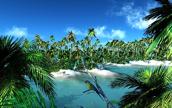 Landscape, Water, Art, Parrots, Palms HD wallpaper