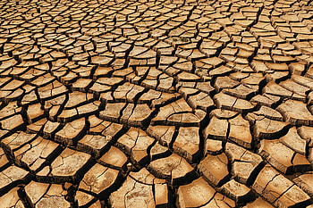 Texture, Textures, Brown, Land, Earth, Dry, Cracks, Crack HD wallpaper