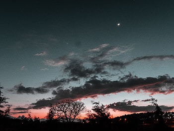 Nature, Trees, Sunset, Sky, Night, Clouds, Moon HD wallpaper