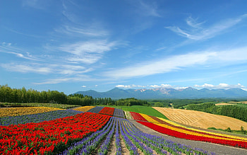Japan Landscape 12434 HD wallpaper