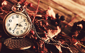 Autumn, Clock, Berries, Miscellanea, Miscellaneous, Dry, Clock Face, Dial, Pocket, Chain HD wallpaper