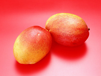 Mangos, sweet, natural, fruits HD wallpaper