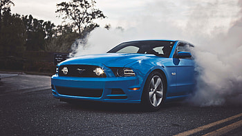 GT500, Ford Mustang HD wallpaper