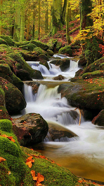 seen, beautiful HD phone wallpaper