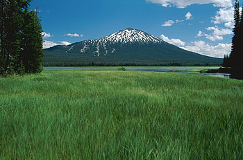 Nature, Rivers, Trees, Grass, Mountain, Vertex, Top, Meadow, Dormant Volcano, Sleeping Volcano HD wallpaper