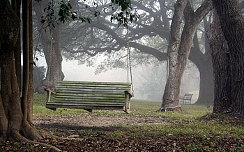 Swing, Nature, Miscellanea, Miscellaneous, Park HD wallpaper