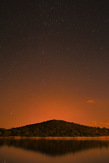Trees, Stars, Night, Words, Starry Sky, Hill HD phone wallpaper