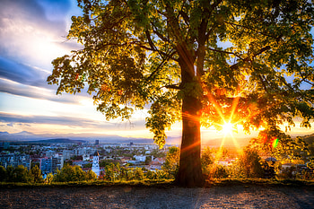 City View Sunrise Looking Out, sunrise, nature, city HD wallpaper