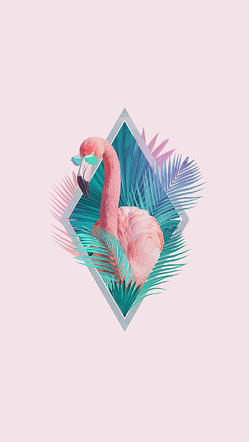 Flamingo , Summer vibes, Stunning backgrounds, Tropical inspiration HD phone wallpaper