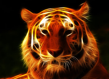 Fractal Siberian Tiger, fractal, tiger, light, siberian HD wallpaper