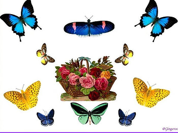 Butterfly Basket, butterflies, art, flower basket HD wallpaper