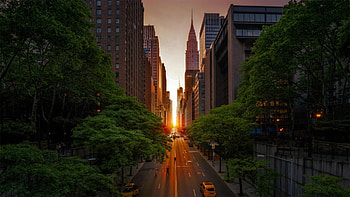 New York Streets, Urban Exploration, City Vibes, Concrete Jungle HD wallpaper
