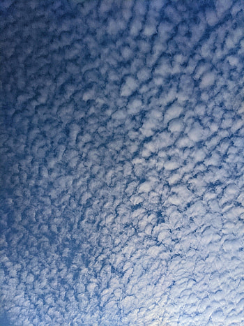 Nature, Sky, Clouds, Cirrus Clouds, Feather Clouds HD phone wallpaper