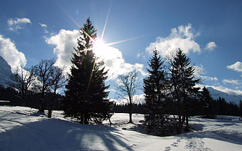 Landscape, Winter, Nature, Trees, Snow, Fir-Trees HD wallpaper