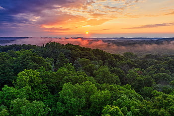 Aerial shot of a vibrant green forest with mist and sunrise in Rochester, MN. HD wallpaper