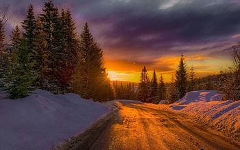 Winter Road, trees, clouds, sky, sunset, snow HD wallpaper