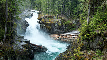 Silver Falls, Mount Rainier National Park, Washington, river, trees, forest, rocks, usa HD wallpaper