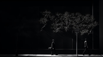 Midnight Noir — Urban Shadows, black aesthetic, dark, city HD wallpaper