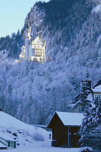 Bavaria, Neuschwanstein Castle HD phone wallpaper