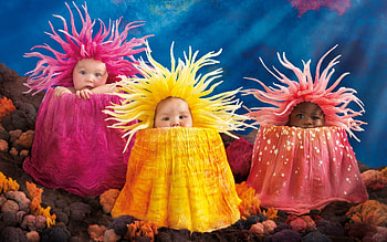 Babies Cute, cute, baby, childrens HD wallpaper