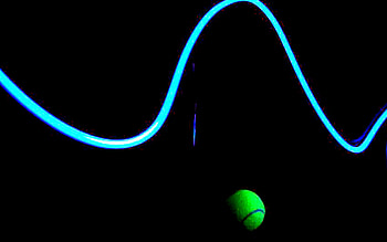 Neon Lights, neon, lights HD wallpaper