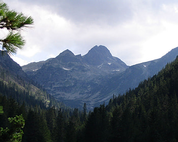 Maliovitza peak, bulgaria, trees, graphy, mountain HD wallpaper